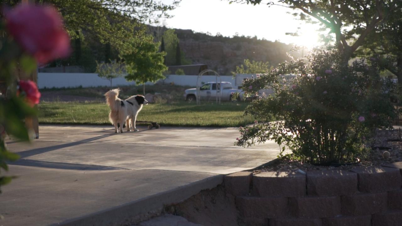 Zion'S Blue Sage Bed & Breakfast Hildale Εξωτερικό φωτογραφία